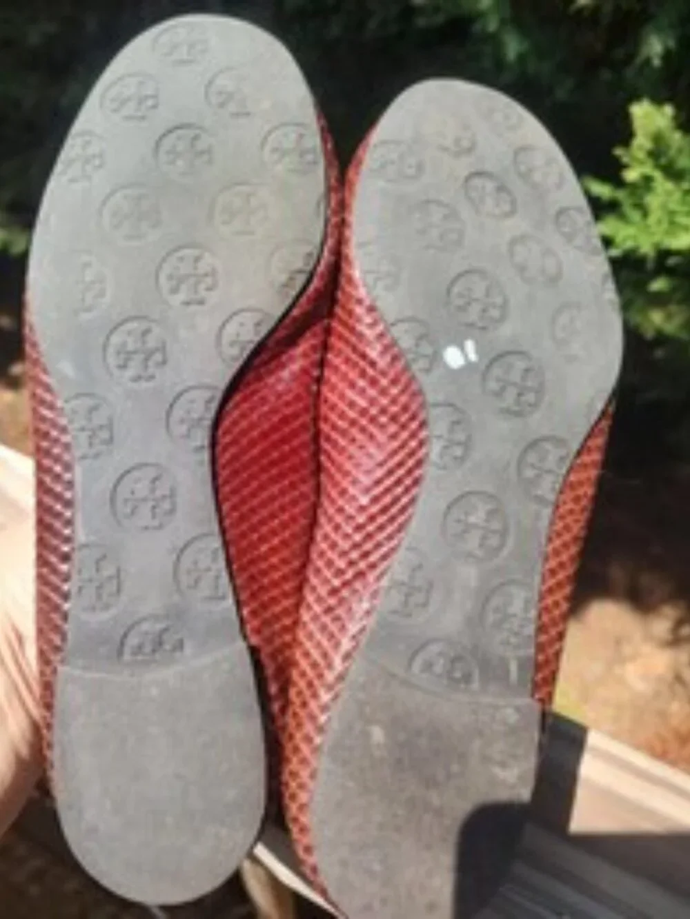TORY BURCH Dark Brown Minnie Snake Skin Ballet Flats Size 9